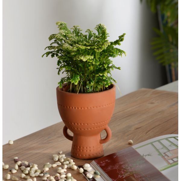 CR Decorative Ceramic Vases For Christmas Day Gift