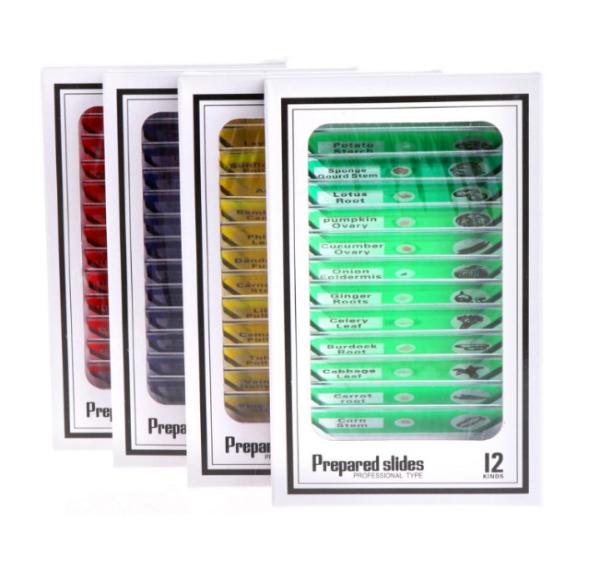 12pcs Children Customized Colorful Plastic Microscope Slides Used For Homeschool Teaching