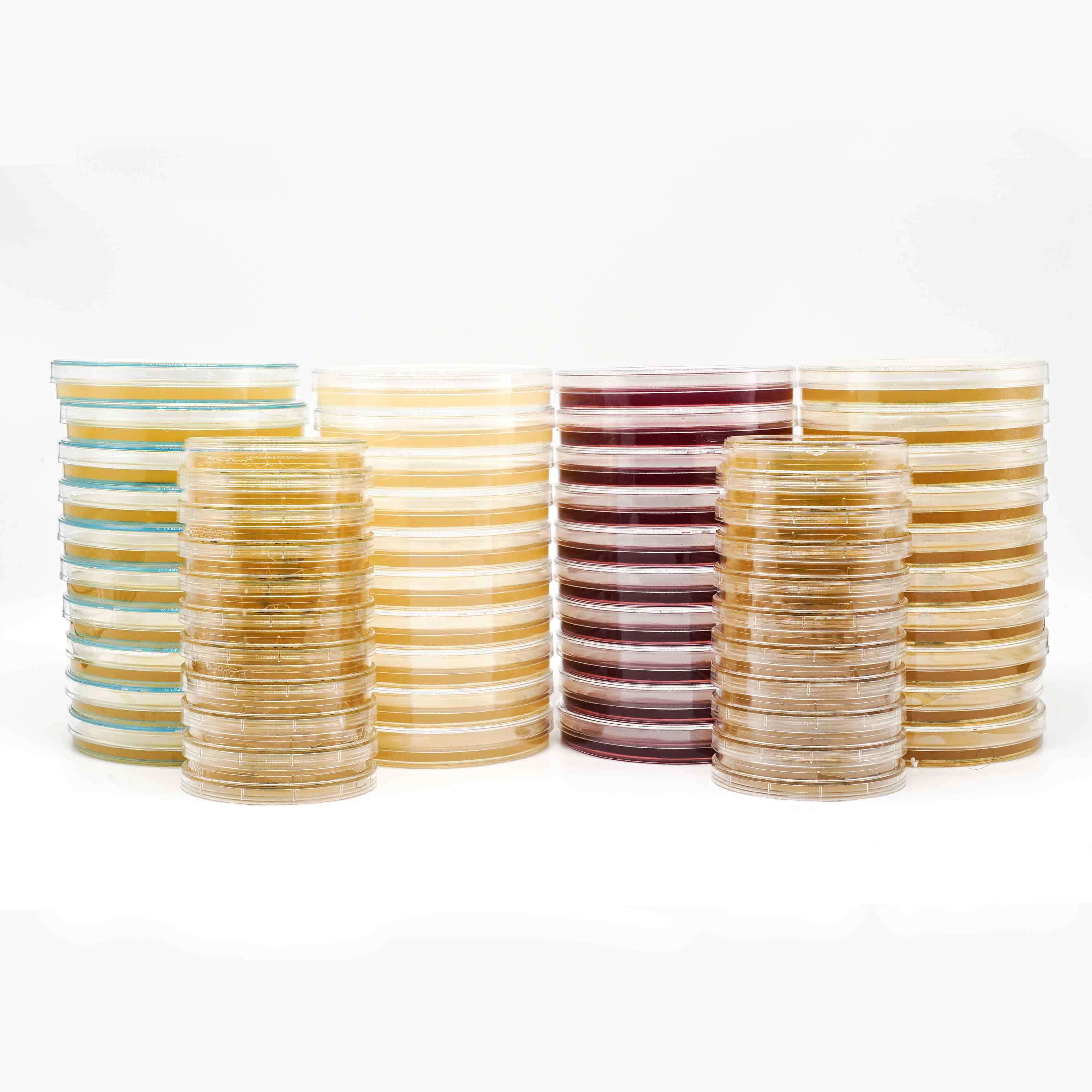 Prepared MacConkey Agar MCA Plate For Gram Negative Bacteria Detection