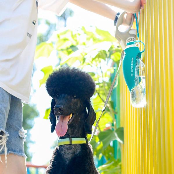 Leakproof Silicone Portable Dog Water Bottle For Walking Dog Travel Water Dispenser