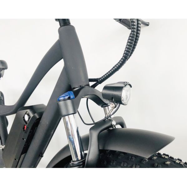 Disc Brake 750W 48V Lithium Battery Adult E Bike Fat Tire Electric Bike 26 inch with Max Speed of 30-50Km/h
