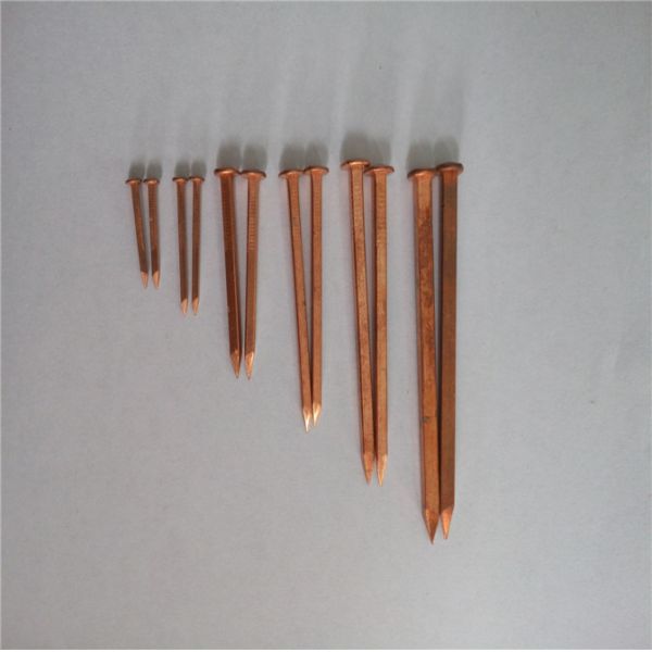 Шлюпка квадрата меди приемной сетки пригвождает 19MM x 1,6 для пригвождать стороны