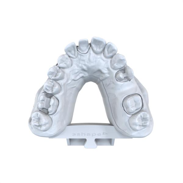 Modelo Dental de Resina de Duração Longo Reparação Modelo Dental de Resina Impressão 3D