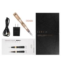 la lèvre permanente sans fil d'arme à feu de tatouage de machine du maquillage 12V rougissent eye-liner