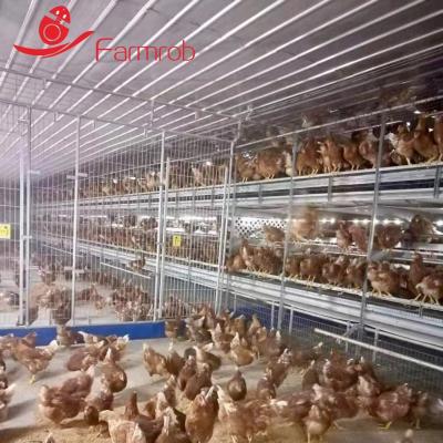 3 Tiers Poultry Battery Cage System Cage Free Eggs Cage-Free-X Improve Health And Welfare