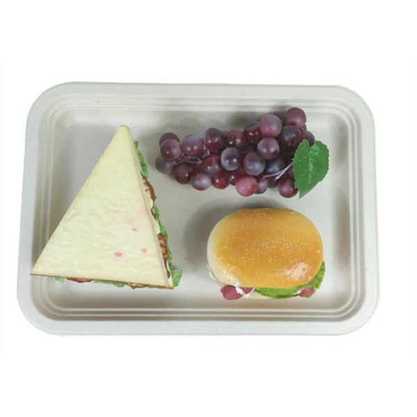Rectangle Biodegradable Food Trays