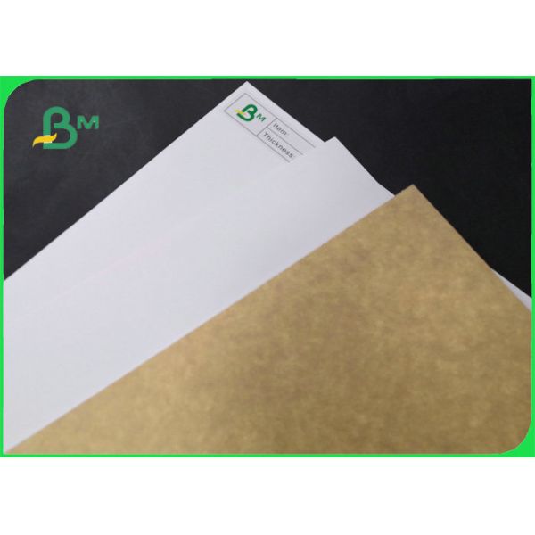 250gsm Clay Coated Kraft Back Paper blanco para el envasado de alimentos 790 * 1090m m