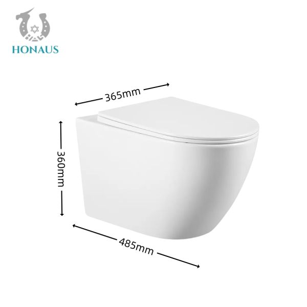 Watermark CE Wall Hanging Commode Rimless Water Closet Washdown Type