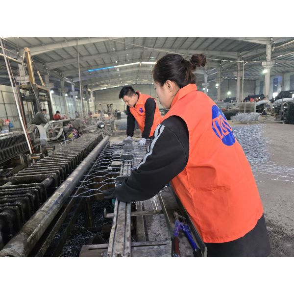 Economical Galvanized/PVC Coated 100mmx120mm Hexagonal Woven Gabion Basket For Landscaping