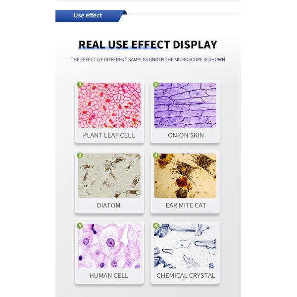Single and Double Electronic Eyepiece Microscope for High Definition Surgical Students