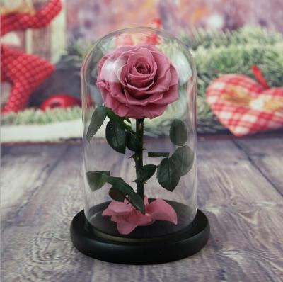 Best Valentines Day Gifts Multiple Colours Preserved Everlasting Real Rose Flower in Glass Dome