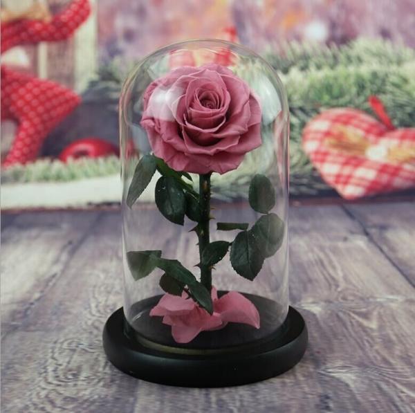 OEM Perfect Valentines Day Gifts Multiple Colours Preserved Everlasting Real Rose Flower in Glass Dome