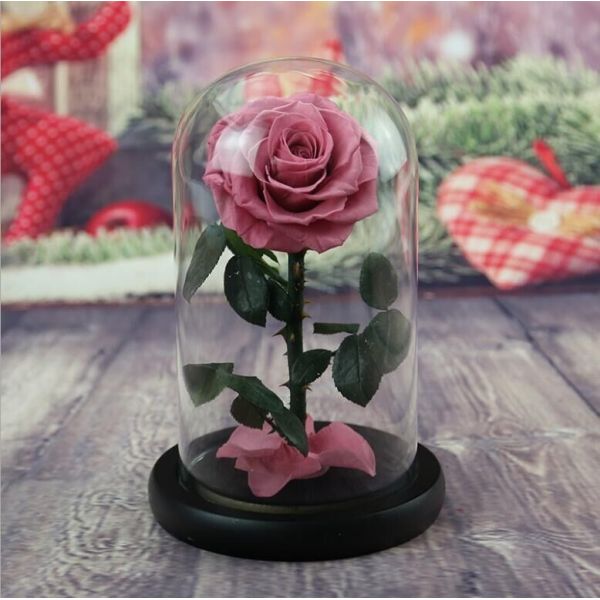 Preserved Fresh Flower Live Enchanted Rose in Glass Dome Cover with Gift Box Forever Real Rose Everlasting Flower