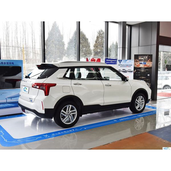 Clearance Sale 2023 Dongfeng Qichen T60EV Electric Car with TPMS and Touch Screen