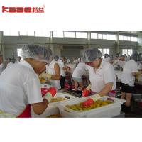 Canned Food Pear Strawberry And Vegetables Making Machine Production Line