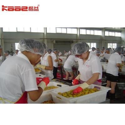 Canned Food Pear Strawberry And Vegetables Making Machine Production Line