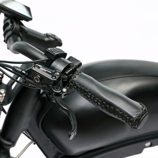 Long Range 48V 750W Rear Hub Motor Electric Motorbike with 48V 20Ah Lithium Battery
