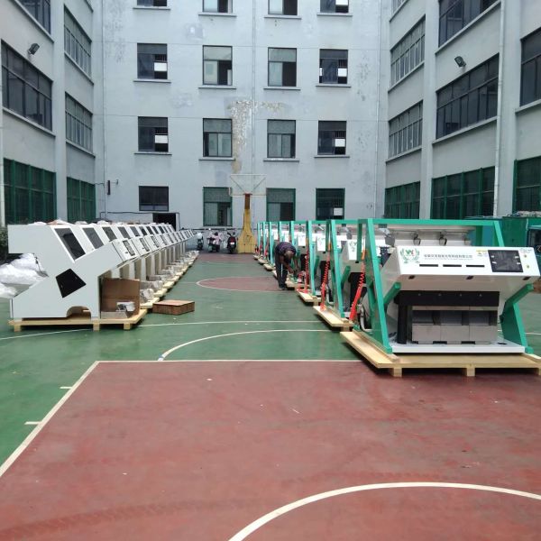 Good Quality Wenyao CE Certificated Cashew Color Sorter Machine Chestnut Color Sorting Machine