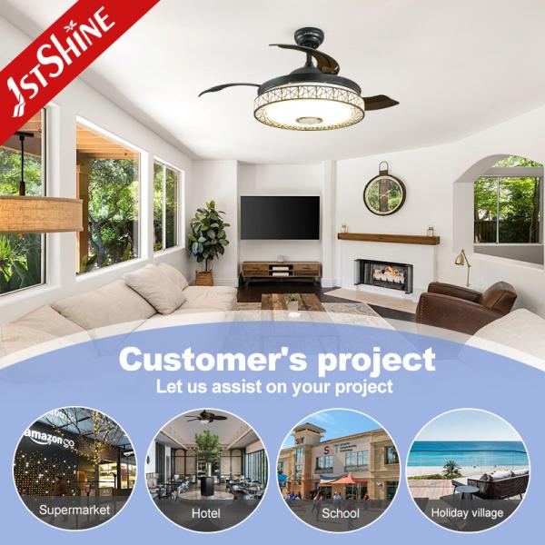 42 Inch Multifunctional Music Hidden Blades Ceiling Fan Light Lighting Solutions Service