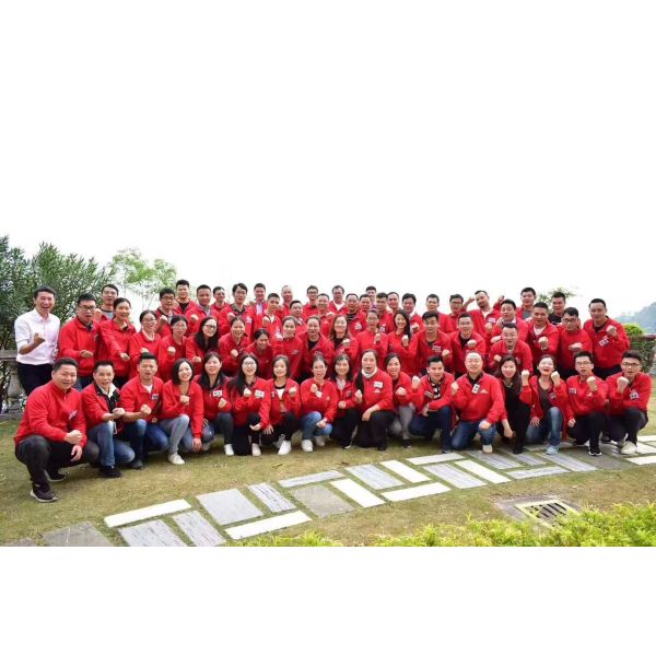 Shenzhen Realrun Electronic Co., Ltd.