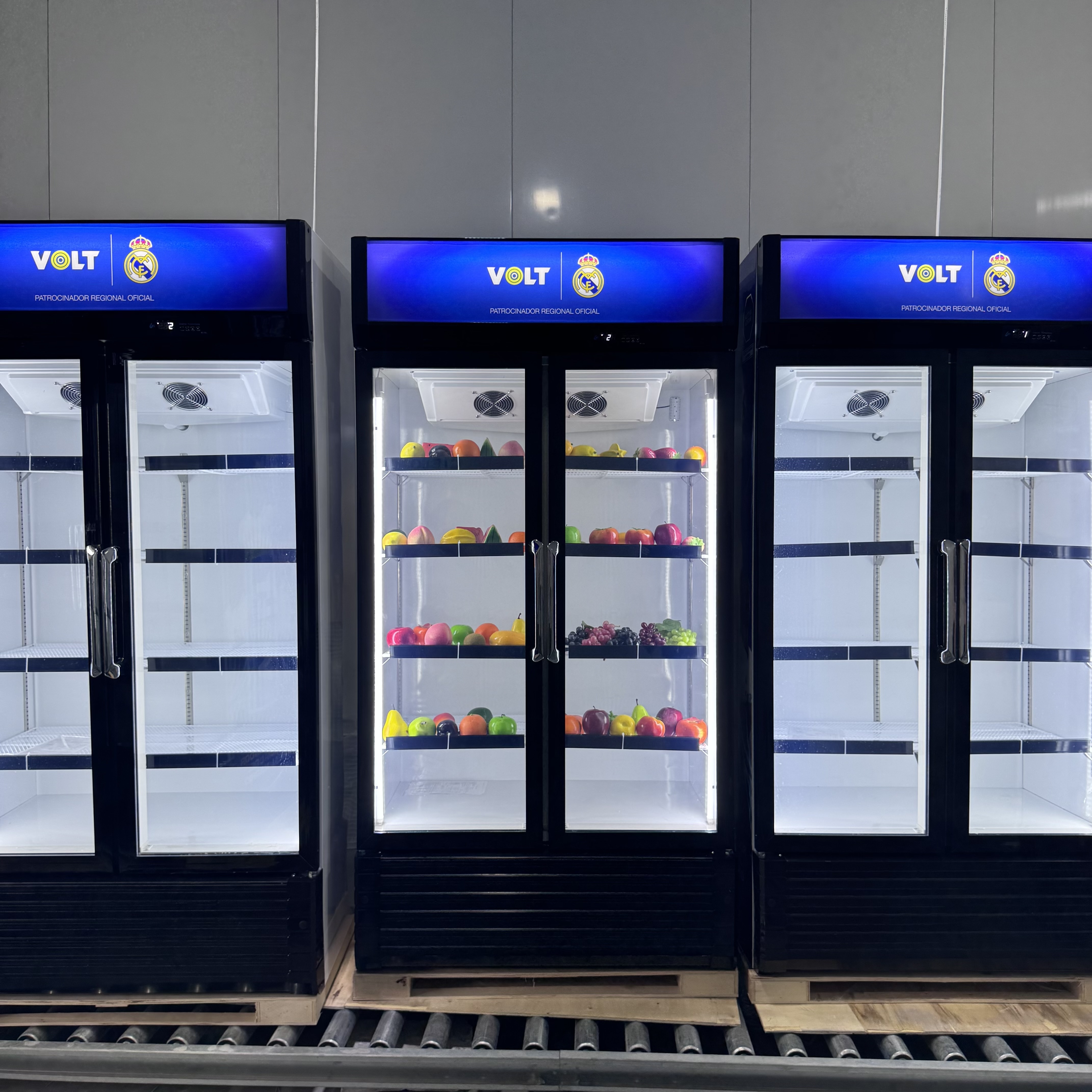 Double Door Upright Display Cooler with Tempered Glass Door Brand Compressor and Digital Control