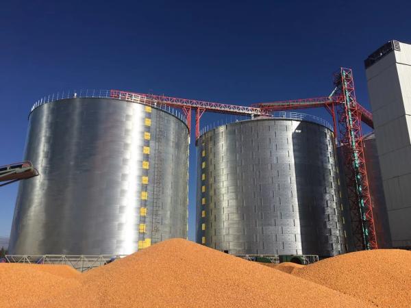 Hermetic Sealing And Anti-Damage Technology Steel Grain Silo For Crucial Preservation In Agriculture Industries