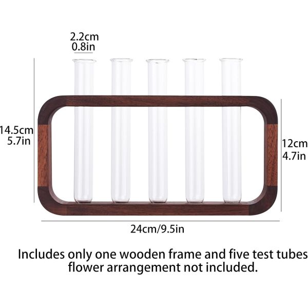 Space-Saving Hydrophilic Plants Vase with High Quantity Advantage in Transparent Glass
