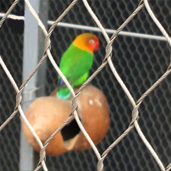 Flexible Zoo Enclosure Mesh Hand Woven Flexible 304 SS Wire Rope Mesh Bird Netting