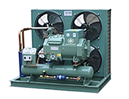 Large Energy-saving Cold room for Medicines, Reagents, Vaccines