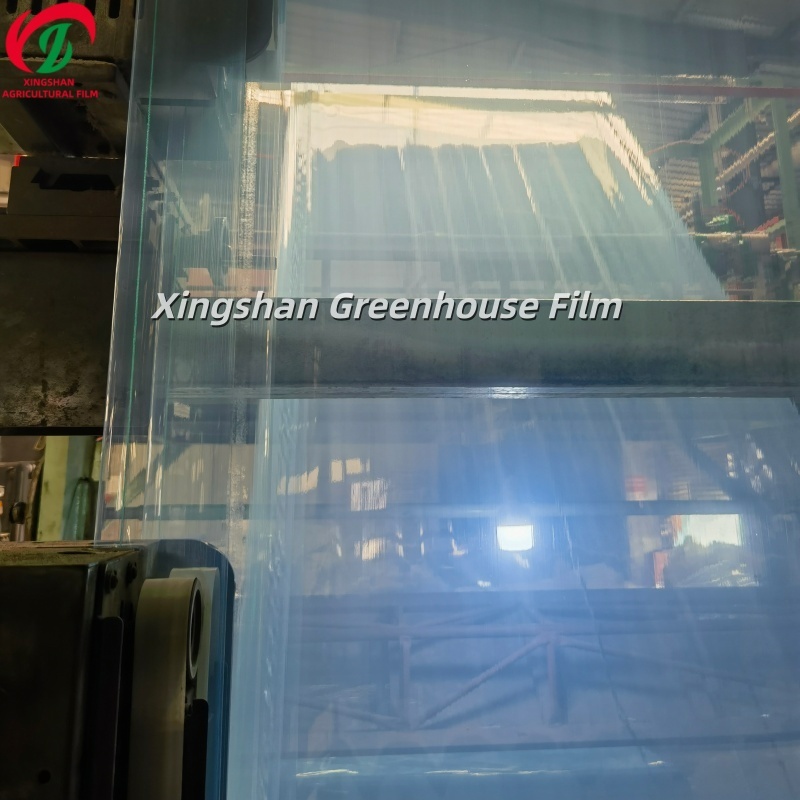 Transparent PO Greenhouse Plastic Film For Vegetable Cultivation
