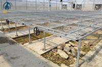 Élevage de semis agricoles Bancs à rouleaux réglables pour les légumes et les fleurs