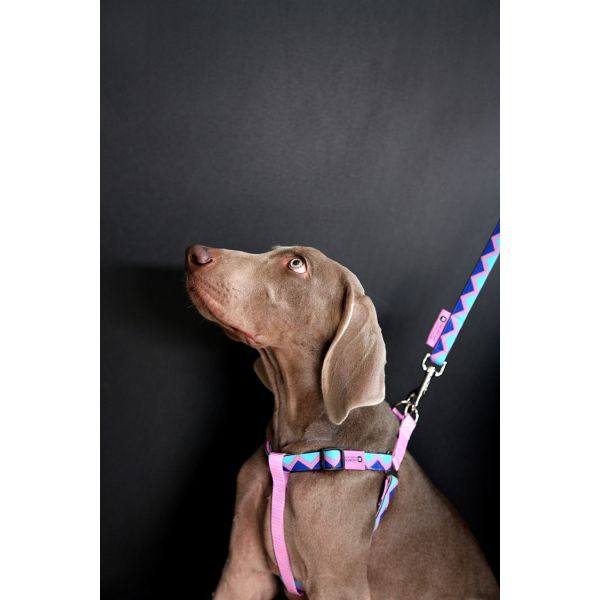 Large No Pull Rainbow Dog Harness With Name Woven Print Double Layer