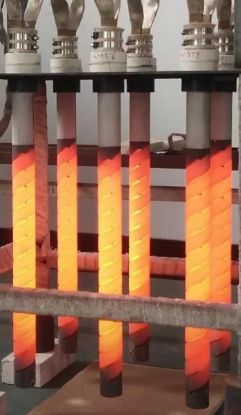 SG Type SiC Heating element