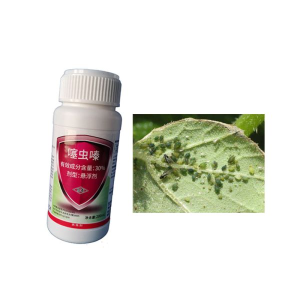 30% Tiametoxam Mata todos los pulgones Apto para invernaderos Pesticida agrícola SC