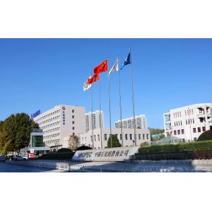 Anhui Jinqi Petrochemical Co., Ltd.