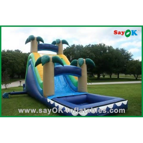 商業膨脹可能な警備員のスライドの注文の膨脹可能なプールのスライド