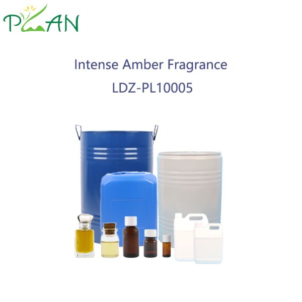 Free Sample Pure Intense Amber Essencee For Perfume Making 