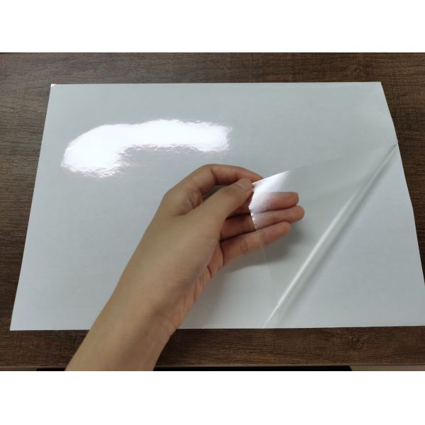 Штейновая слипчивая анти- бумага стикера ярлыка разрыва A4