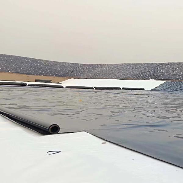 Waterproofing Fish Farm Pond with 100% Virgin HDPE Geomembrane in Industrial Design