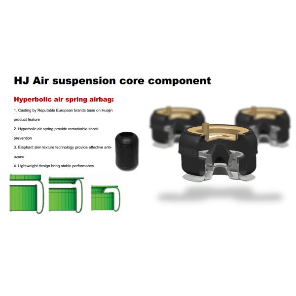 ISO9001 General Europe Type Air Suspension Parts 10T Eco Drum Brake