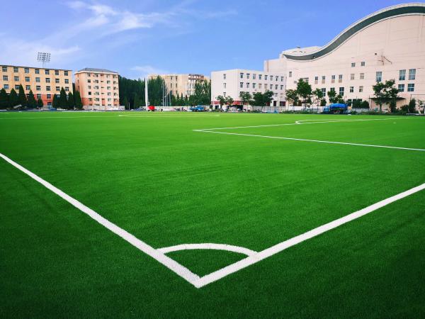 Football Grass Artificial Grass For Football Soccer Grass Soccer