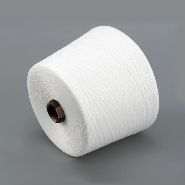 Vortex 40S/1 30S/2 Viscose Ring Spun Yarn 16S Viscose Dyed Yarn