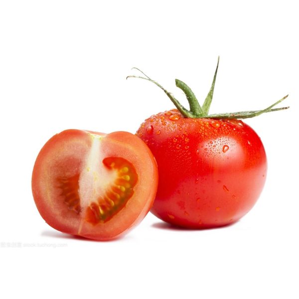 Concentrated Tomato Sauce Processing Line 5T/H From Scratch