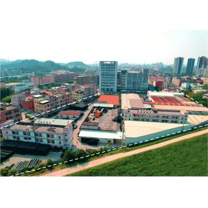 Guangdong Nanfengwang Technology Co., Ltd.