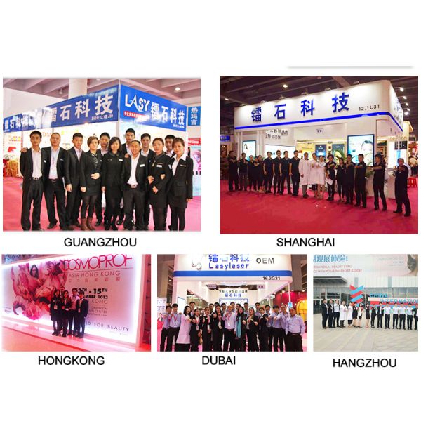 China Lasylaser Beauty Supply
