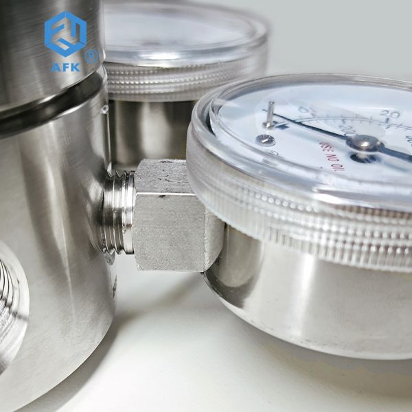 PCTFE PTFE Stainless Steel Pressure Regulator 1000PSI 600Psi Double Gauges