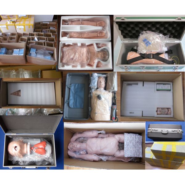 Medical Science Adult Half-body CPR Torso Manikin for Emergency Skills Practice Model