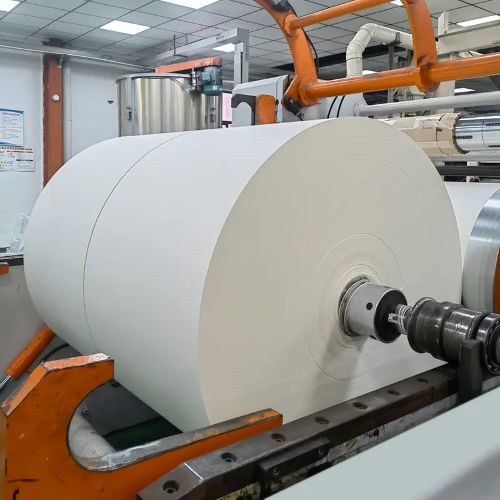 100% Virgin White Paper Roll PE Coated Paper Roll with PE Coated or Uncoated Cup Stock Paper