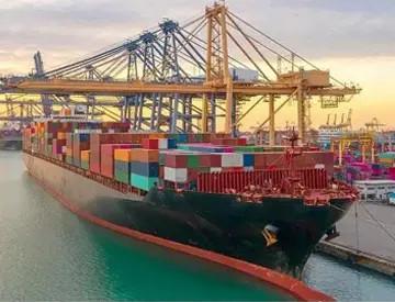 7x24H Logistics Warehousing Services In Shekou Port