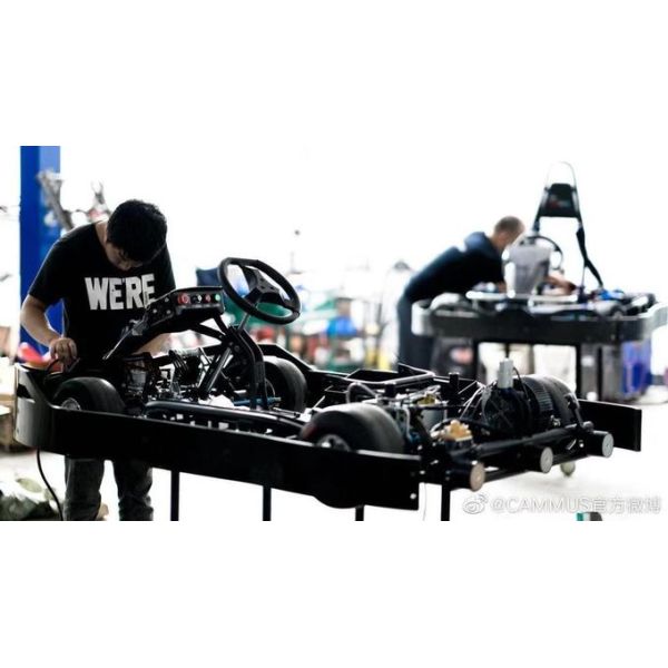 2 высокая эффективность мотора 14Nm идет Karts 3H управляя версией s
